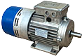MT Electric Motor